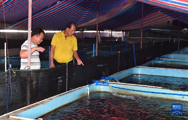 有聲手賬丨【我是一線黨代表 】王書茂：保護(hù)好“祖宗?！笔沁@輩子最大的心愿