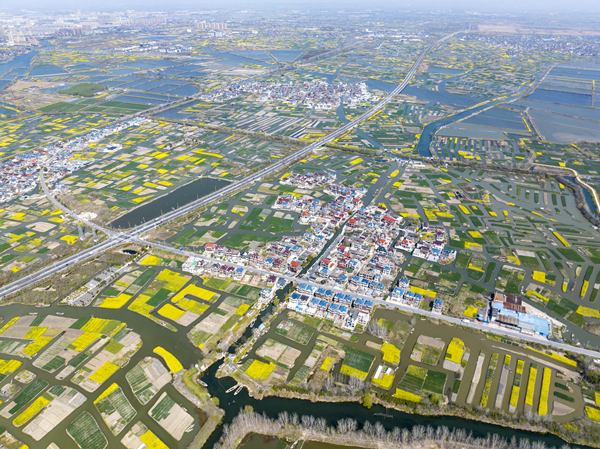 春天里的水鄉(xiāng)興化。周社根攝